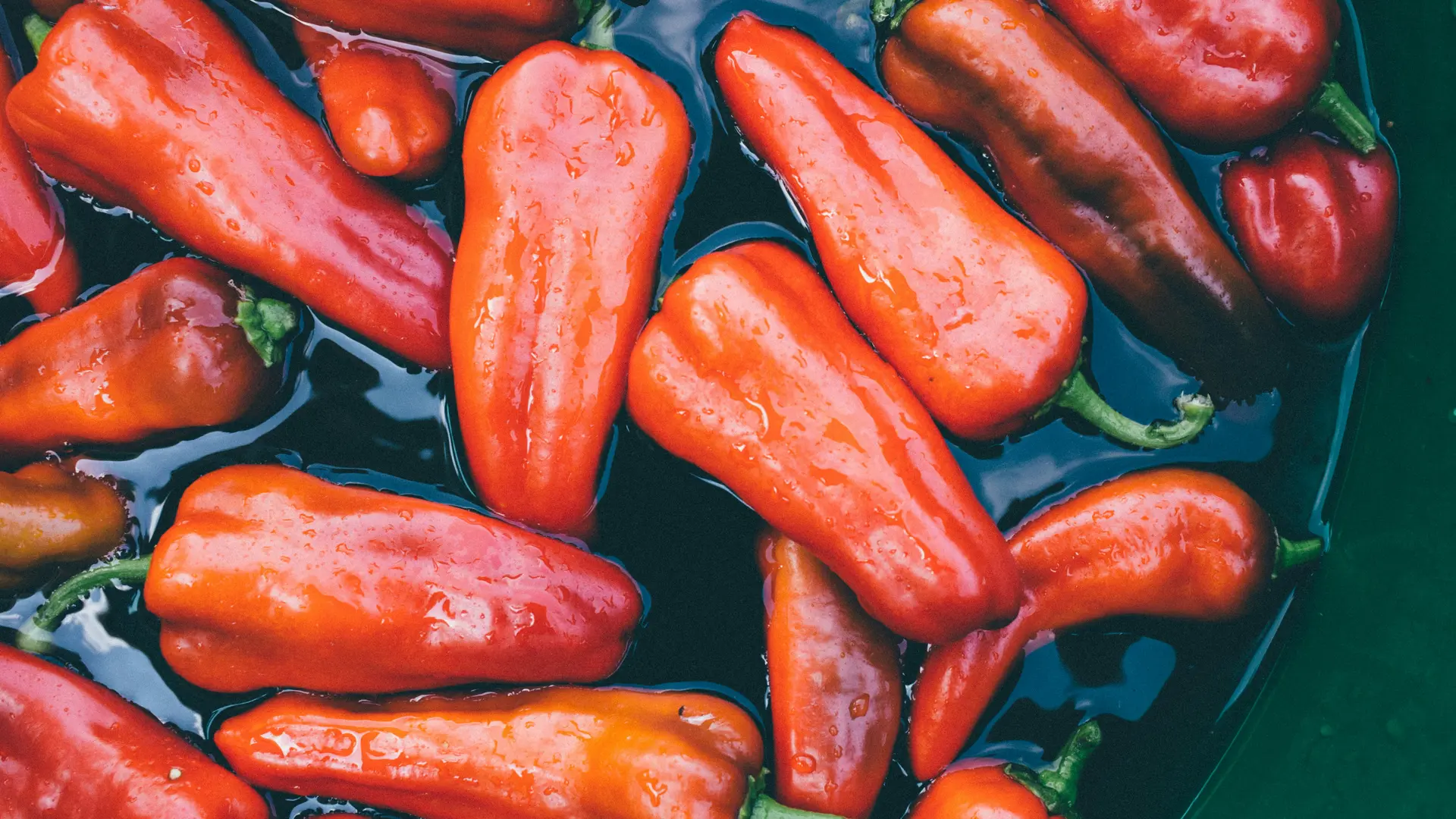 Boerderijwinkel webshop met verse groenten en streekproducten - Agrarische e-commerce - Altena Webshops