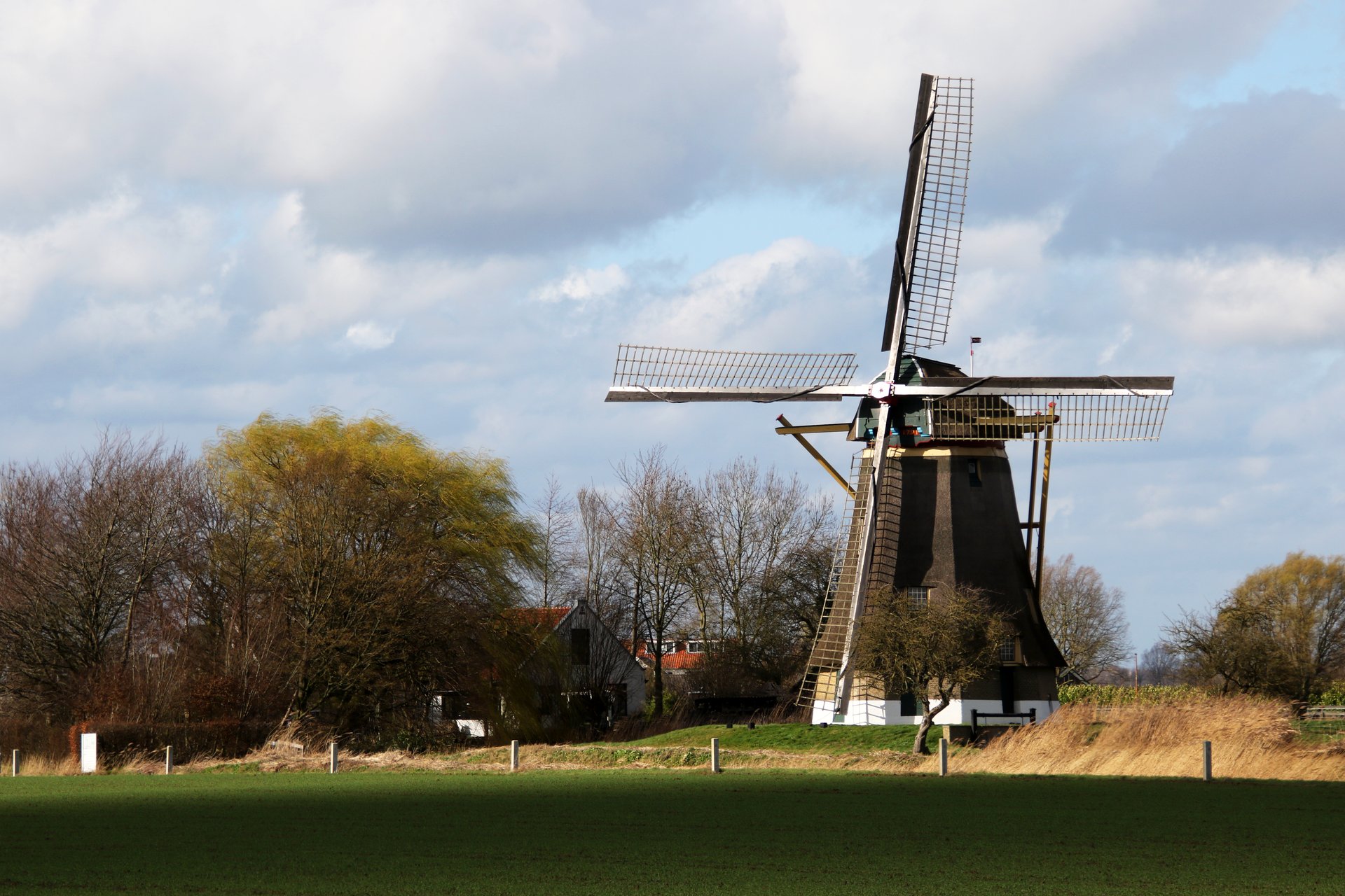 Webshop ontwikkeling Hank