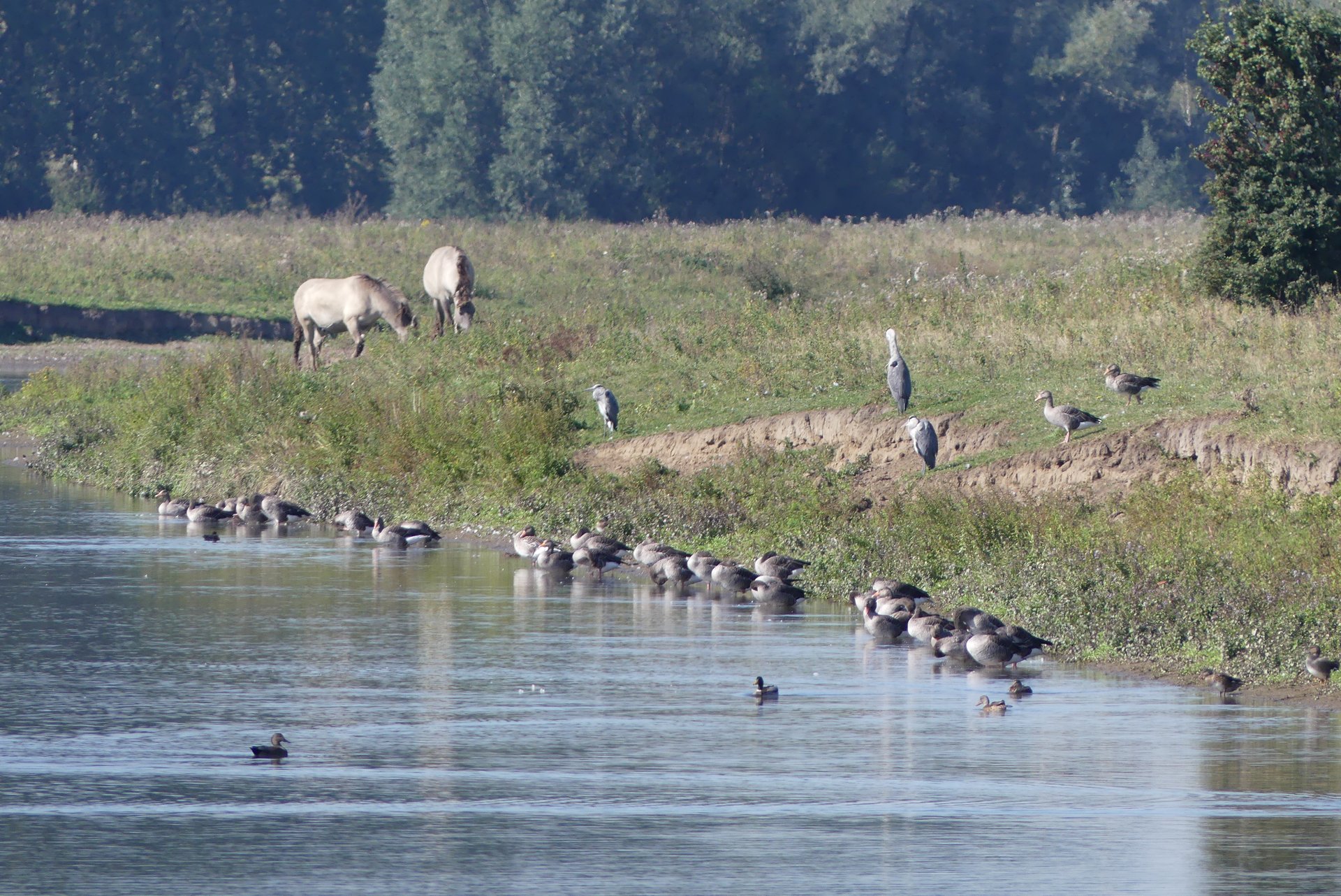Webshop ontwikkeling Oudendijk
