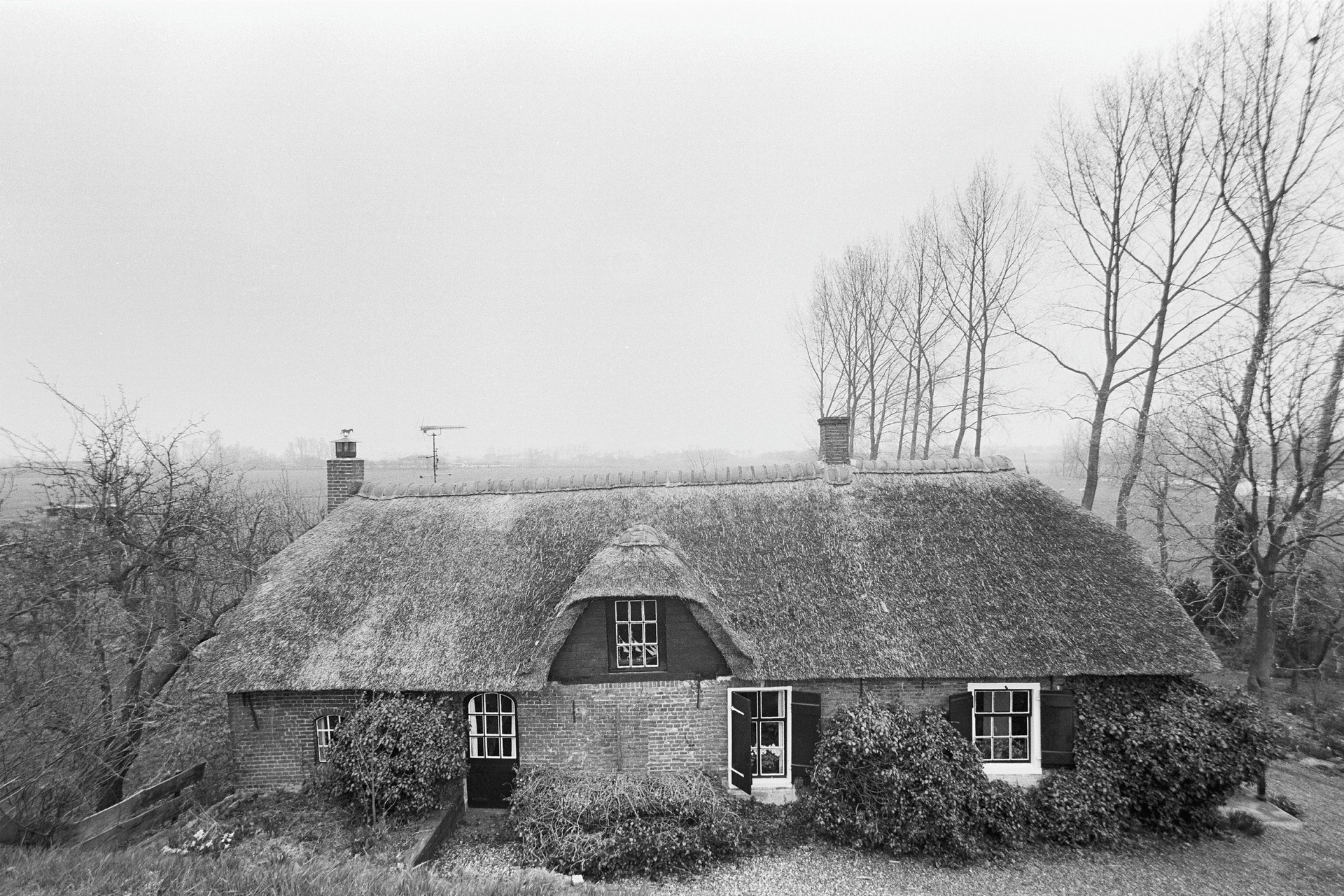 Webshop ontwikkeling Rijswijk