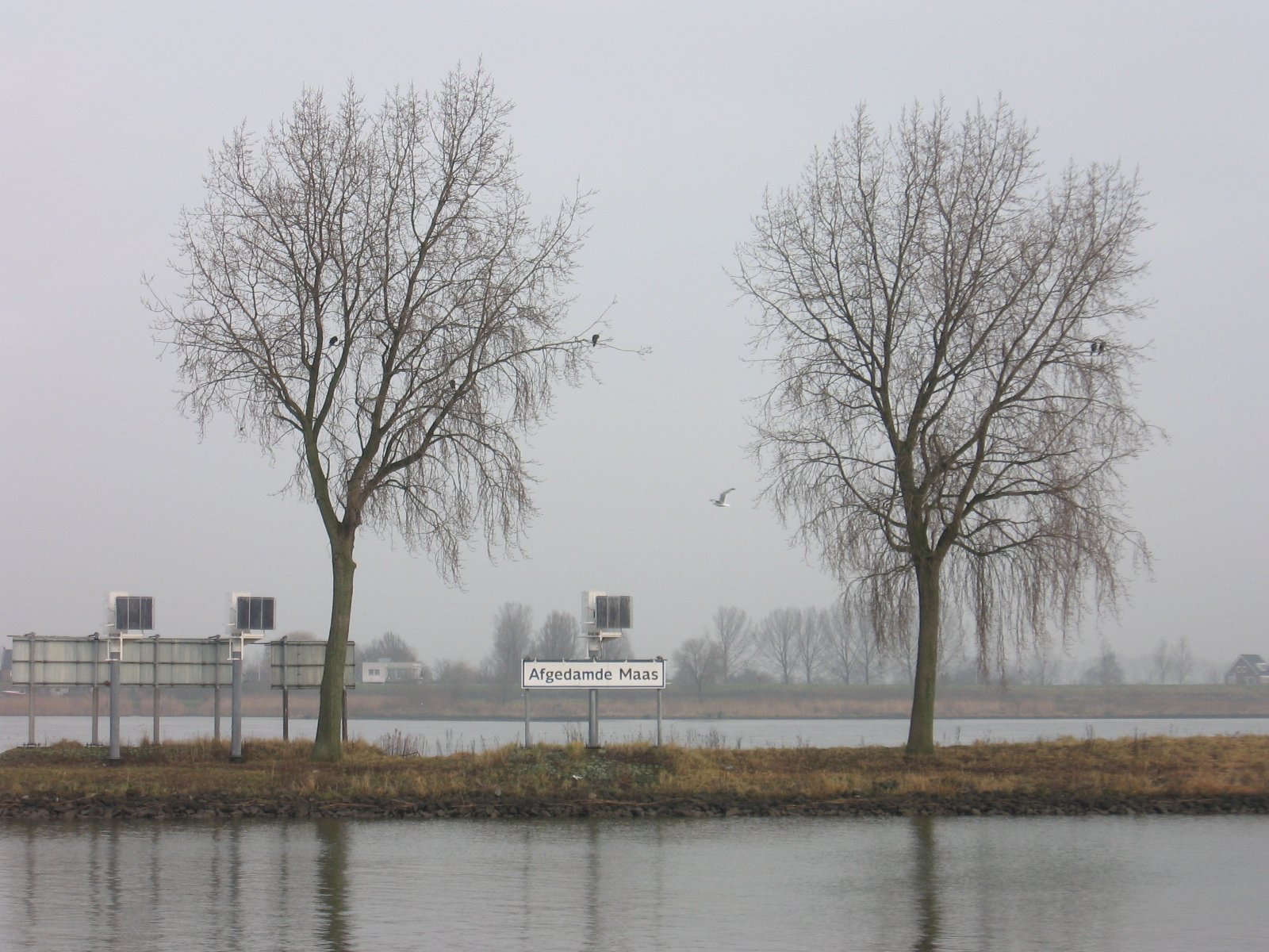 Webshop ontwikkeling Veen