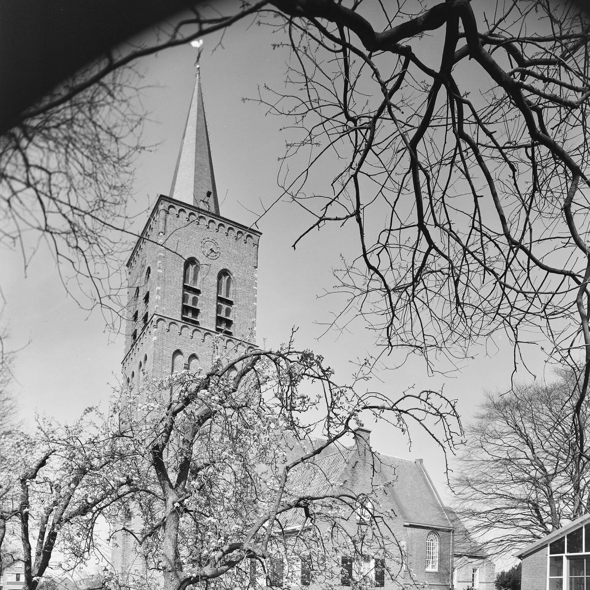 Webshop ontwikkeling Wijk en Aalburg